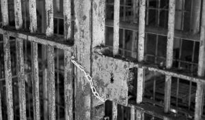 1226063_prison_cells_1.jpg
