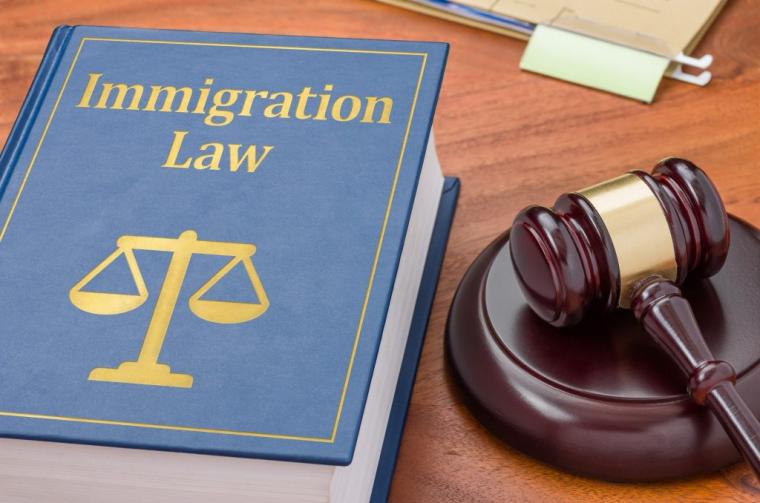 immigration-law-1024x678.jpg
